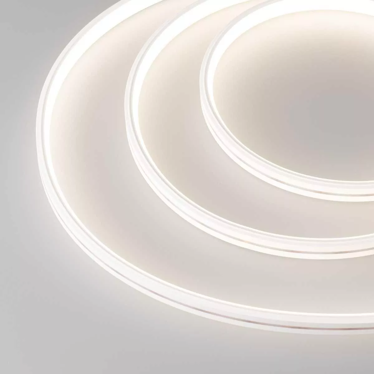 Гибкий неон Arlight 10W/m 320Led/m CSP дневной белый 5M Moonlight-Top-X320-11x7mm 24V Day4000 037561
Гибкий неон Arlight 10W/m 320Led/m CSP дневной белый 5M Moonlight-Top-X320-11x7mm 24V Day4000 037561