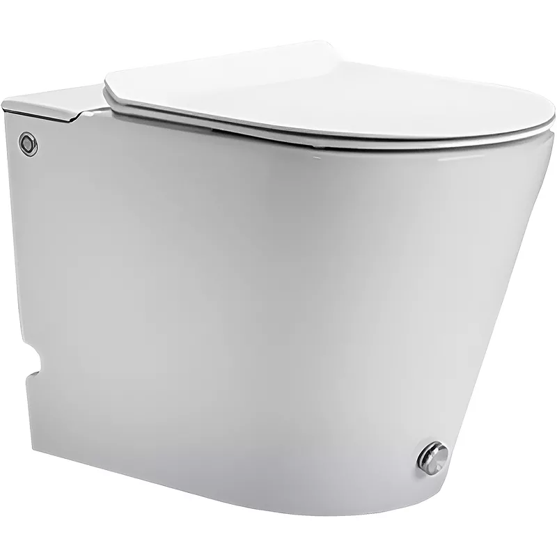 Унитаз приставной Cerutti SPA Argentera Pulse CT7267 с сиденьем микролифт, белый
Унитаз приставной Cerutti SPA Argentera Pulse CT7267 с сиденьем микролифт, белый
