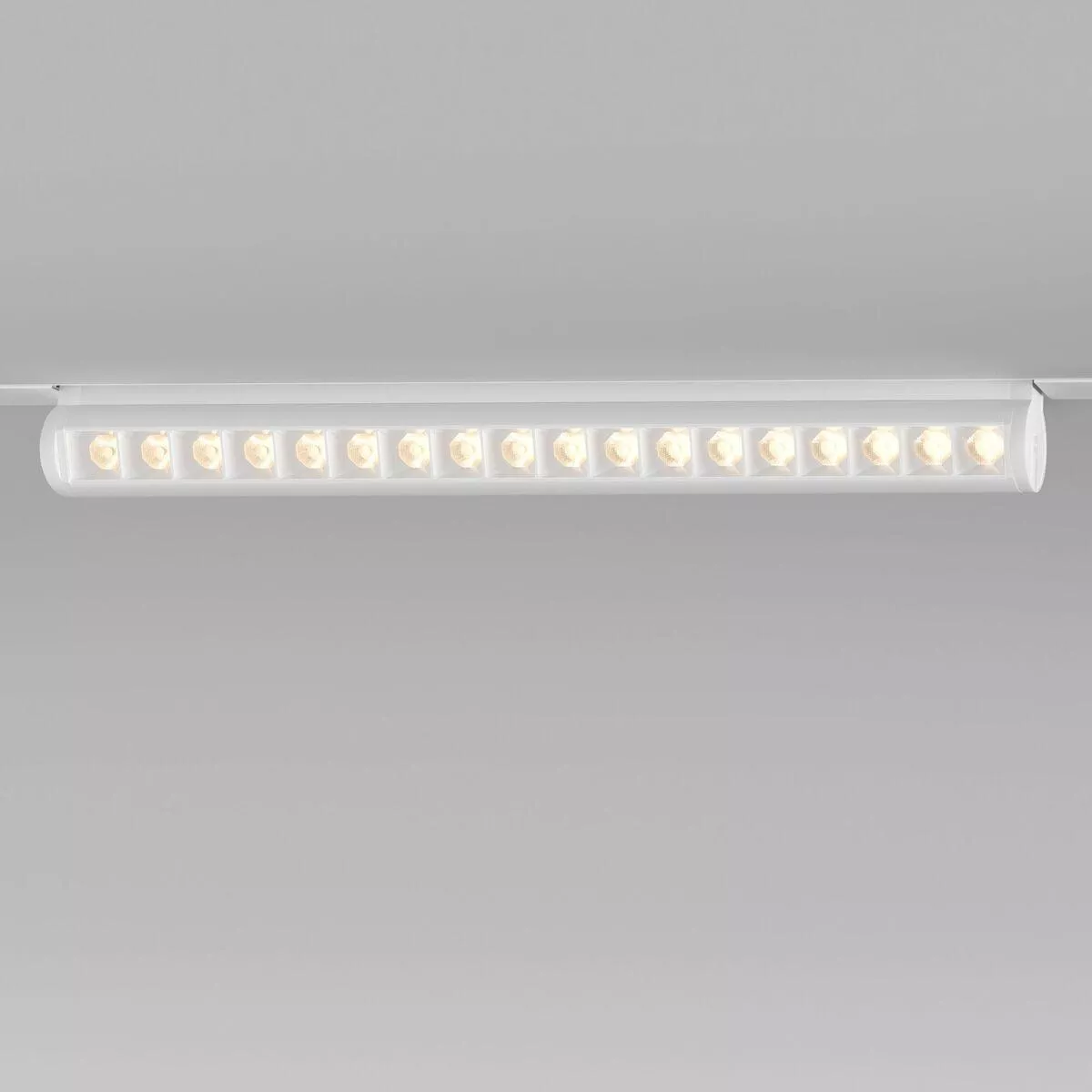 Трековый светодиодный светильник Elektrostandard Alter 18W 4200K 85050/01 a062999
Трековый светодиодный светильник Elektrostandard Alter 18W 4200K 85050/01 a062999