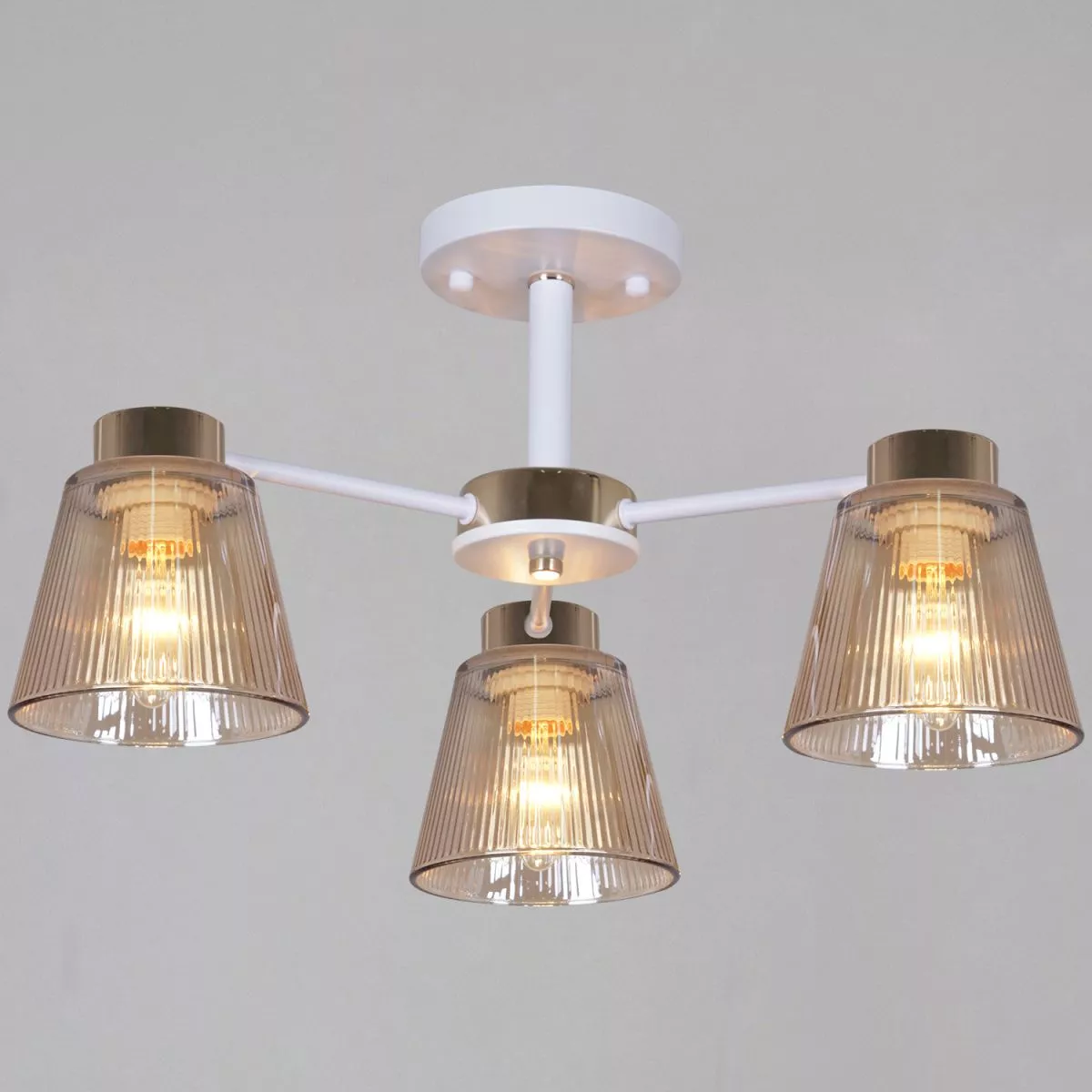 Потолочный светильник Reluce 20560-0.3-03 WH+FG
Потолочный светильник Reluce 20560-0.3-03 WH+FG