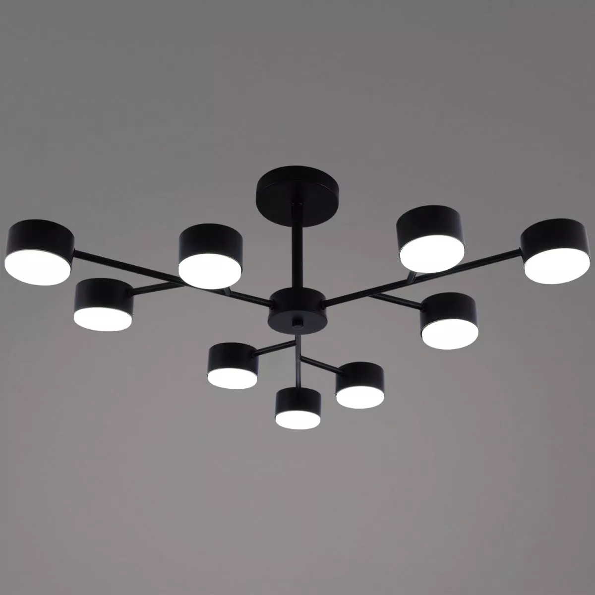 Люстра на штанге Reluce 03726-0.3-09 BK GX53
Люстра на штанге Reluce 03726-0.3-09 BK GX53