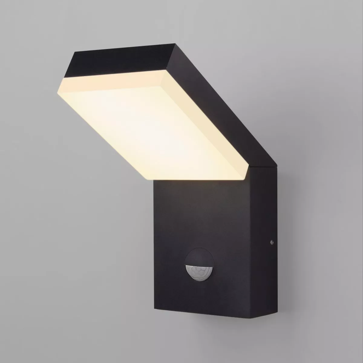 Уличный настенный светильник с датчиком движения Elektrostandard Sensor 1541 TECHNO LED черный 4690389219245 a072087
Уличный настенный светильник с датчиком движения Elektrostandard Sensor 1541 TECHNO LED черный 4690389219245 a072087