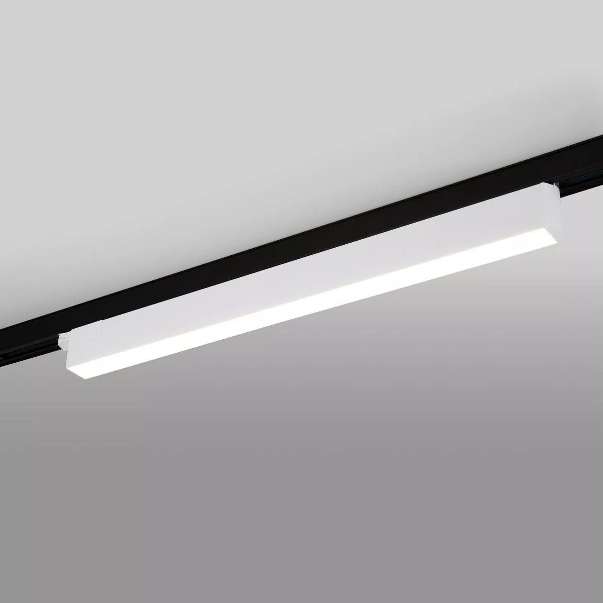 Трековый светодиодный светильник Elektrostandard X-Line белый матовый 28W 4200K LTB55 a052447
Трековый светодиодный светильник Elektrostandard X-Line белый матовый 28W 4200K LTB55 a052447