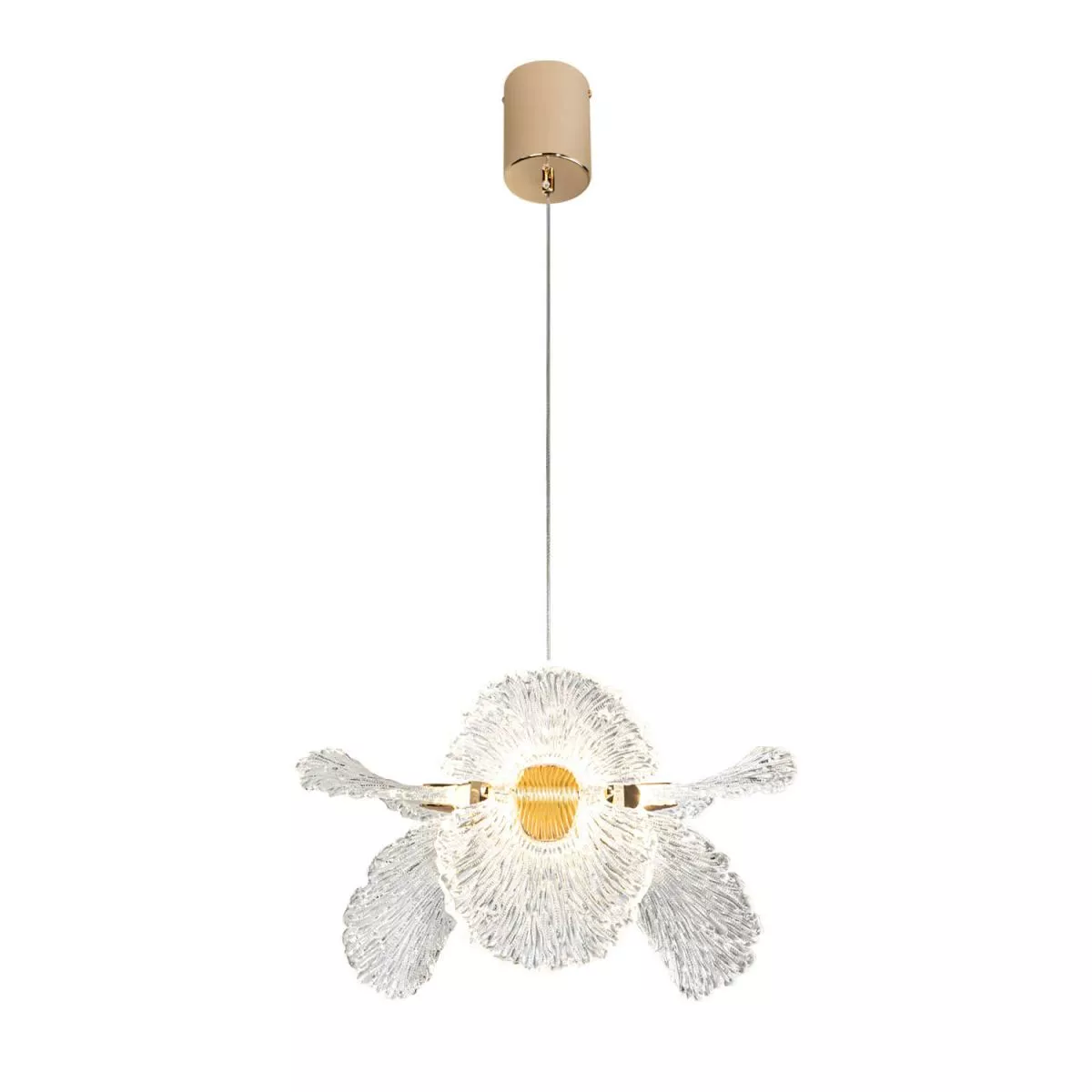 Подвесная светильник Modelight MDL.89092.350HC GD
Подвесная светильник Modelight MDL.89092.350HC GD