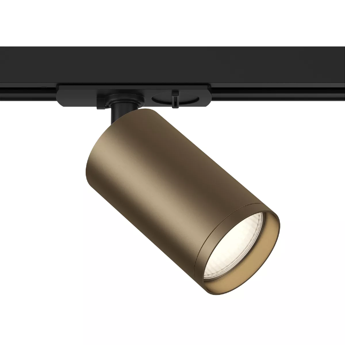 Трековый светильник Maytoni Technical Focus TR020-1-U-GU10-BBZ
Трековый светильник Maytoni Technical Focus TR020-1-U-GU10-BBZ