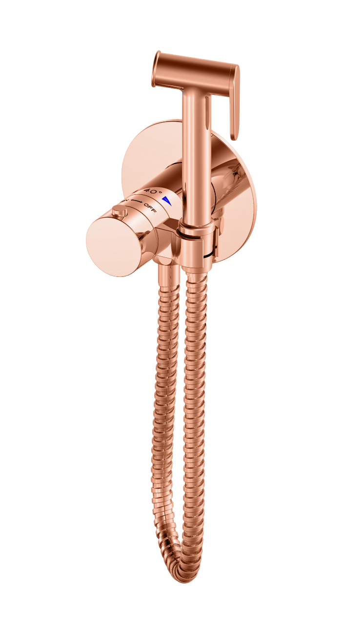 Гигиенический душ Wonzon & Woghand WW-88829909-RG термостат, С ВНУТРЕННЕЙ ЧАСТЬЮ, розовое золото
Гигиенический душ Wonzon & Woghand WW-88829909-RG термостат, С ВНУТРЕННЕЙ ЧАСТЬЮ, розовое золото