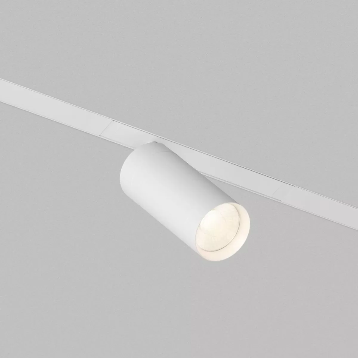 Трековый однофазный светильник Denkirs Simple Spot DK8120-WH
Трековый однофазный светильник Denkirs Simple Spot DK8120-WH