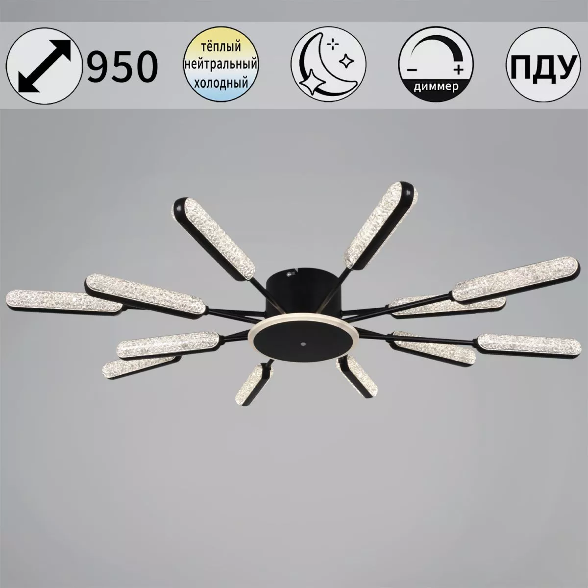 Потолочная люстра Reluce 97290-0.3-12 BK
Потолочная люстра Reluce 97290-0.3-12 BK