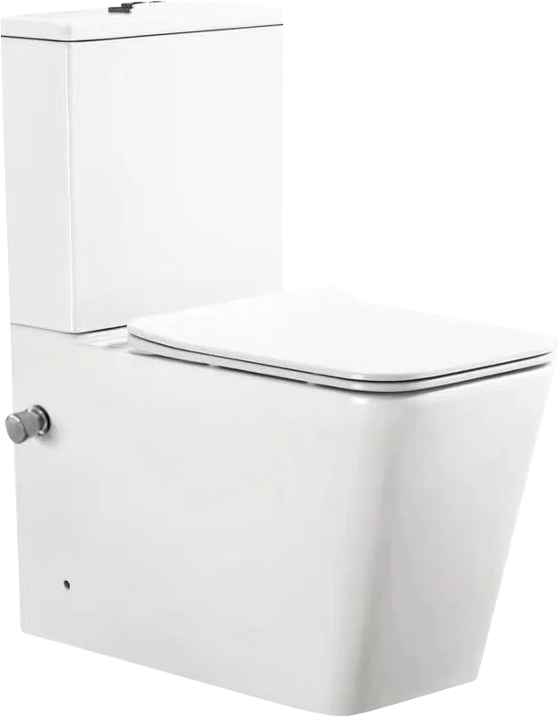 Унитаз-компакт напольный SantiLine SL-5017SM-BD безободковый, с микролифтом, с функцией биде
Унитаз-компакт напольный SantiLine SL-5017SM-BD безободковый, с микролифтом, с функцией биде