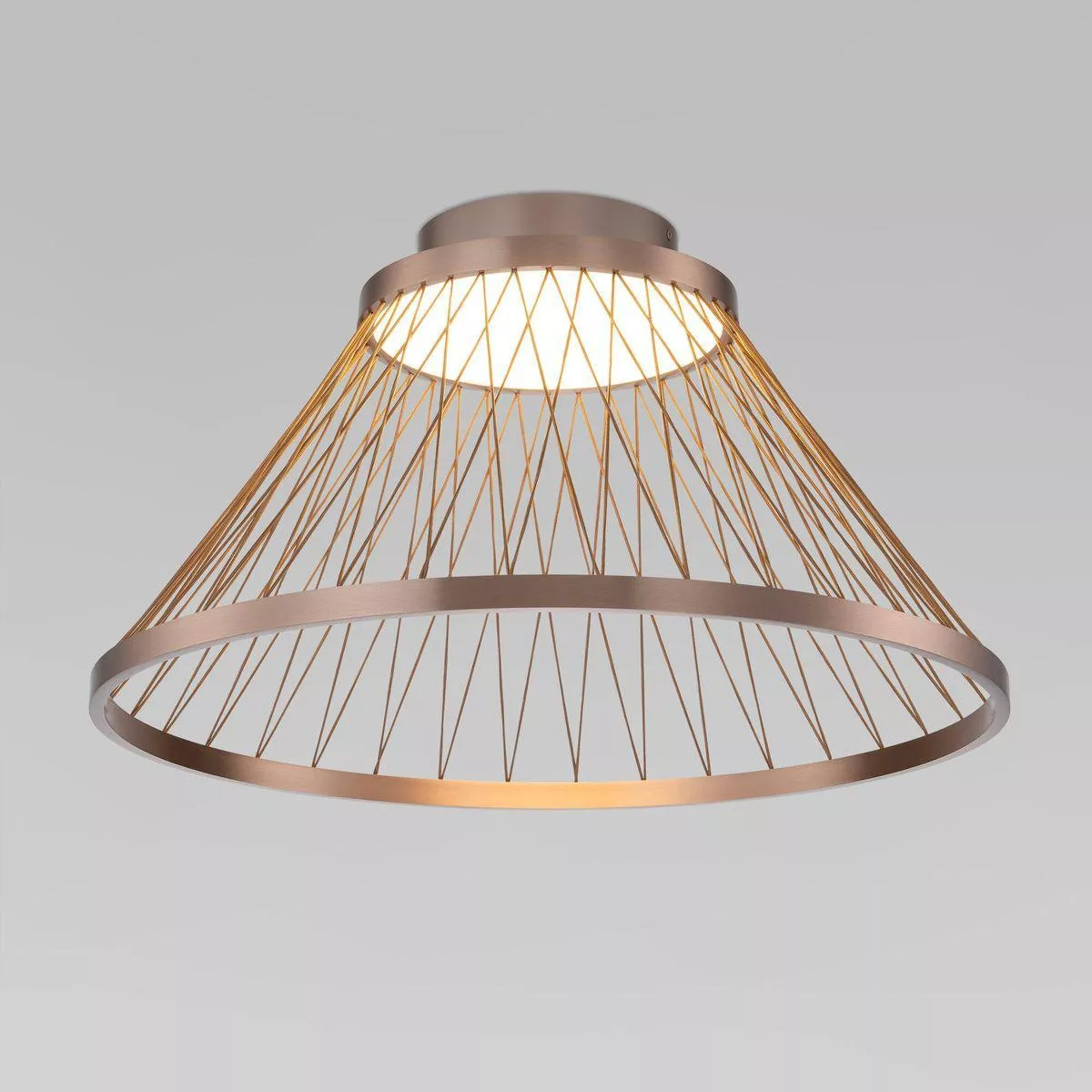Потолочный светодиодный светильник Eurosvet Cesta 40019/1 LED коричневый
Потолочный светодиодный светильник Eurosvet Cesta 40019/1 LED коричневый