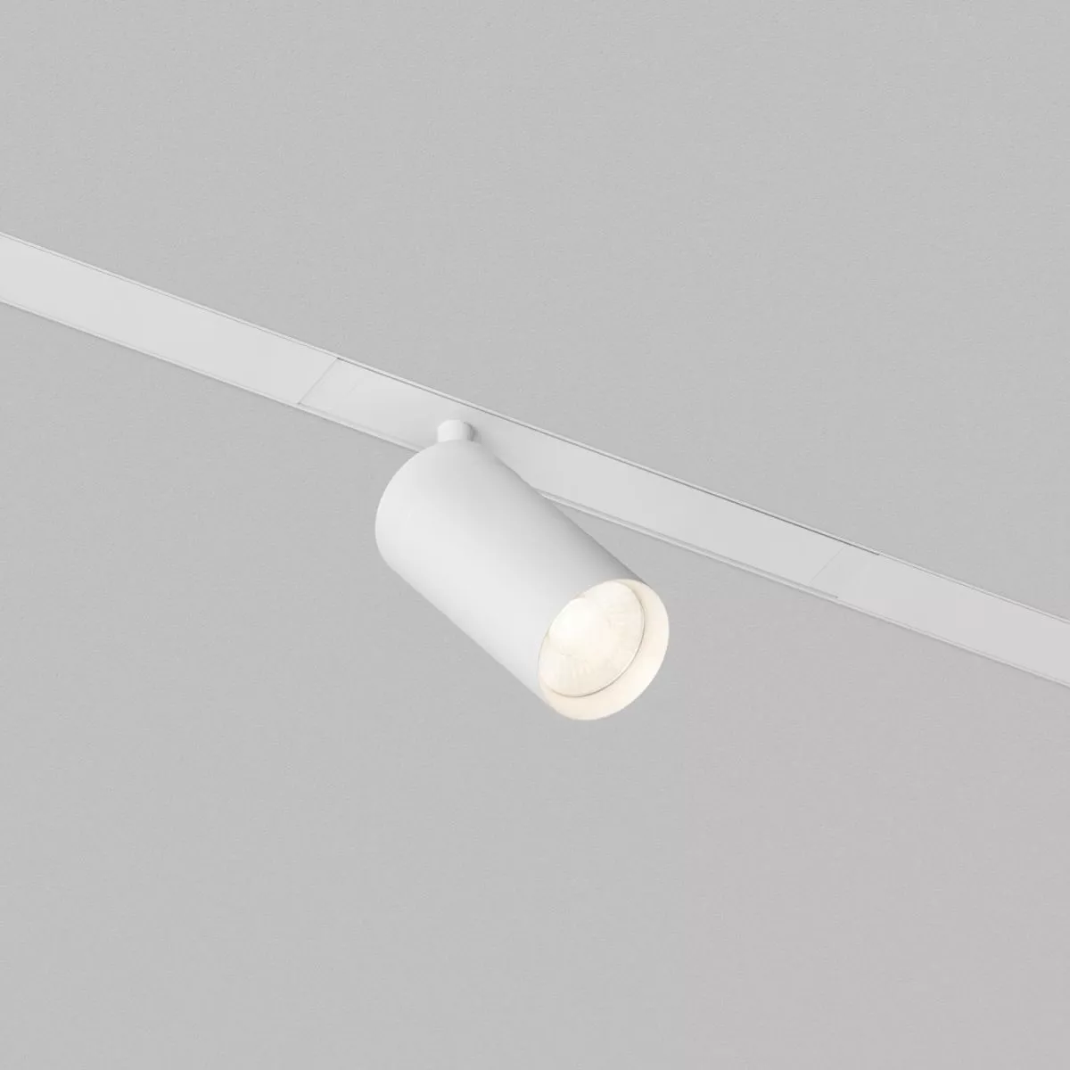 Трековый однофазный светильник Denkirs Simple Spot DK8110-WH
Трековый однофазный светильник Denkirs Simple Spot DK8110-WH