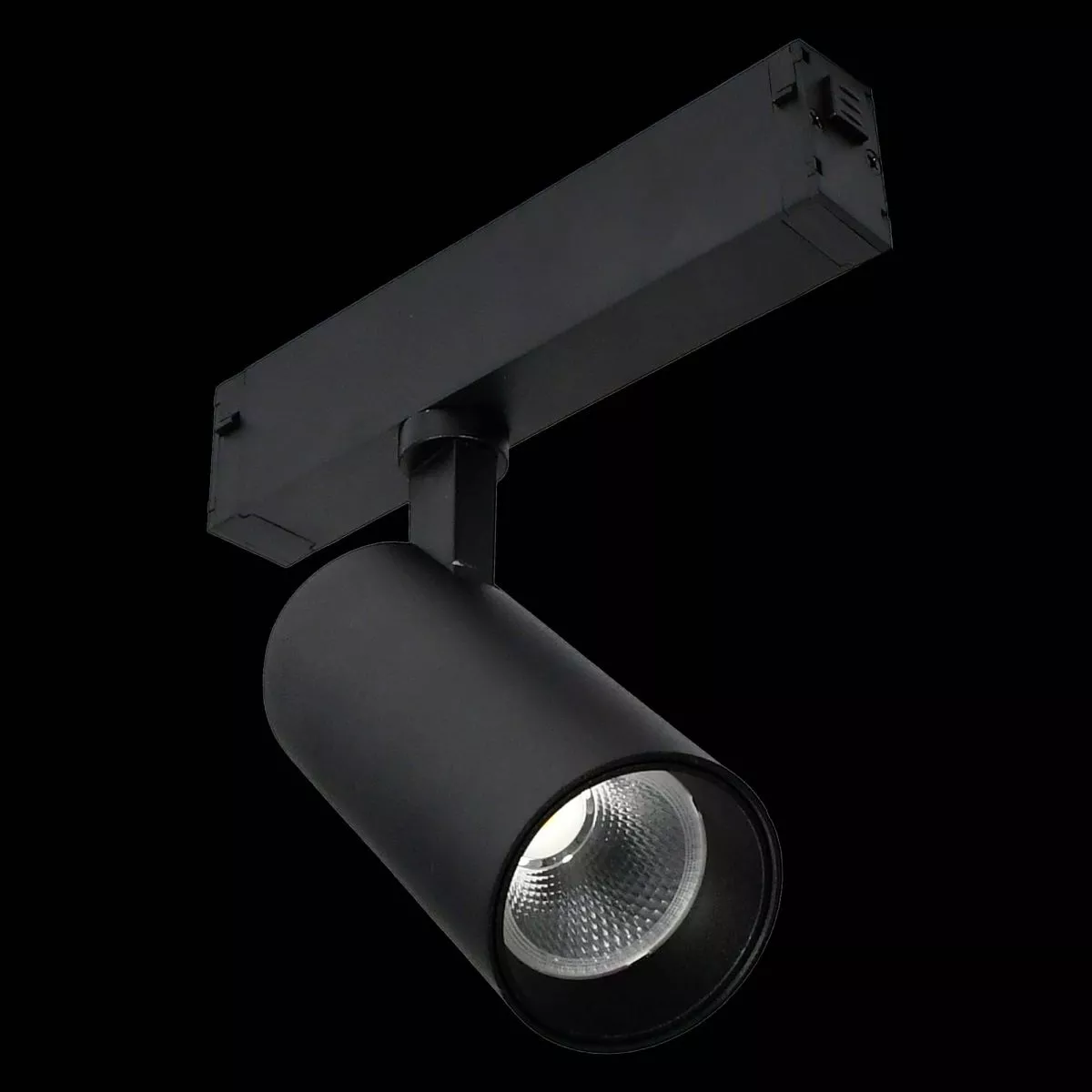 Трековый светильник ST Luce Skyline 220 ST660.496.10H
Трековый светильник ST Luce Skyline 220 ST660.496.10H