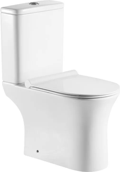 

Напольный унитаз Aquanet Roll 2-C белый с сиденьем микролифт и бачком