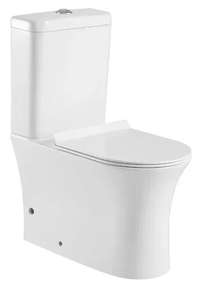 

Напольный унитаз Aquanet Roll-C белый с сиденьем микролифт и бачком