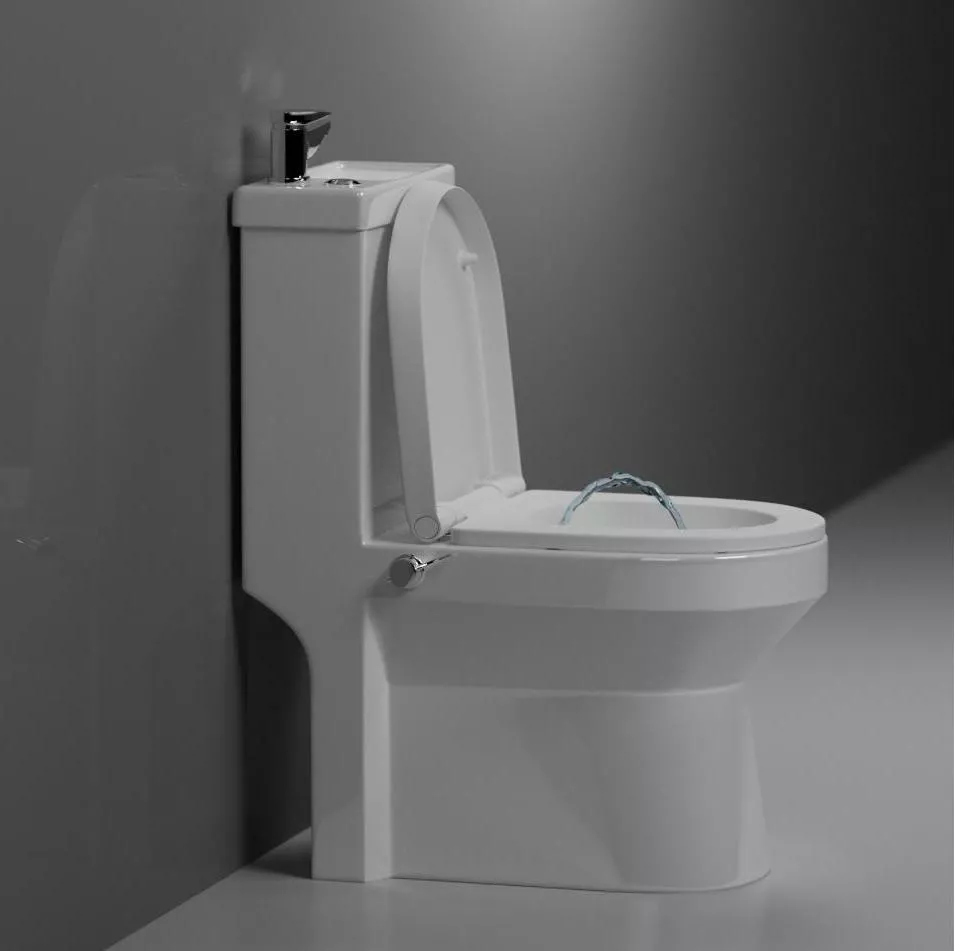 

Унитаз-биде напольный Laguraty с раковиной и смесителем с бачком и сиденьем микролифт белый