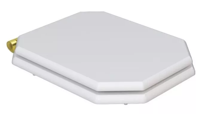 Крышка-сиденье для унитаза Caprigo Tempo с микролифтом белый матовый петли золото 16118₽