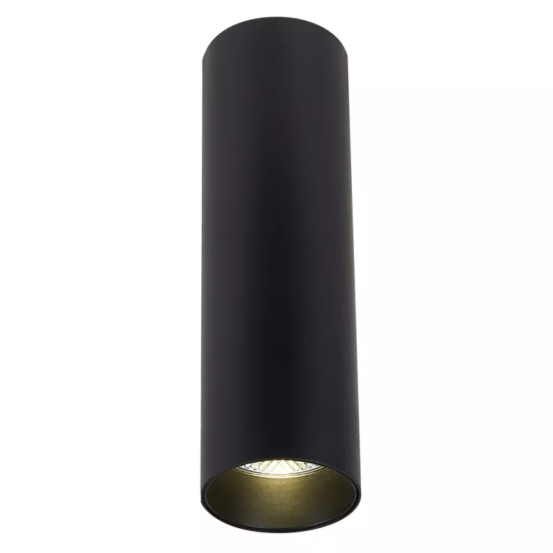 

Накладной светильник Simple Story 2052-LED10CLB