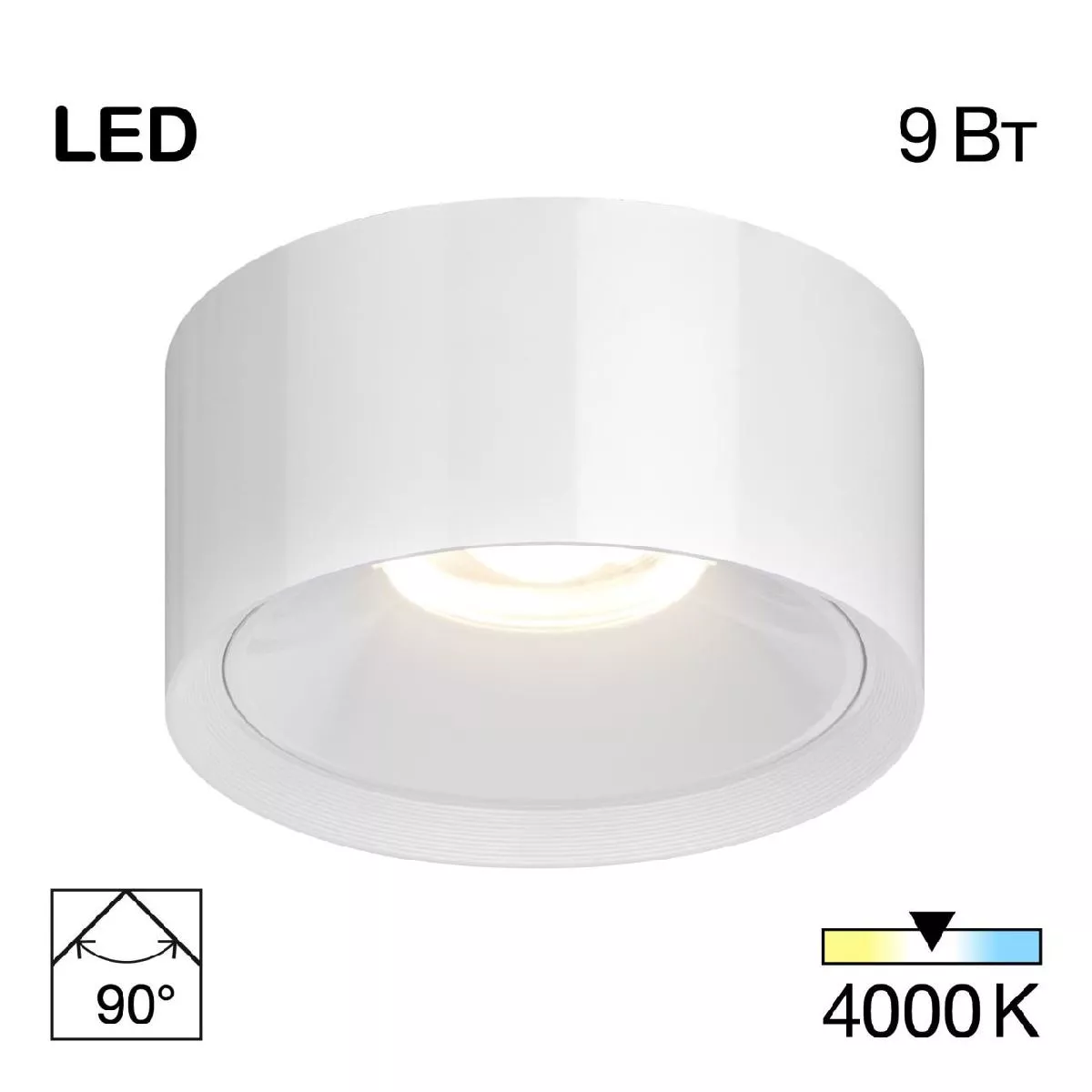 

Накладной светильник Citilux Rover CL743090N