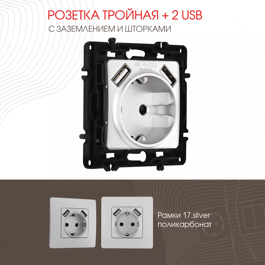 

Розетка с заземлением, шторками + 2 USB Arte Milano 217.47-1.silver