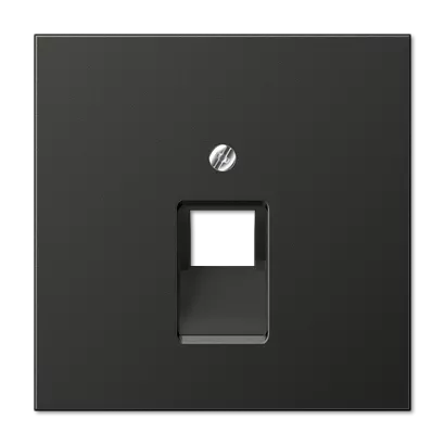 

Накладка для комп. Розетки 1-ая JUNG AL2969-1UAAN