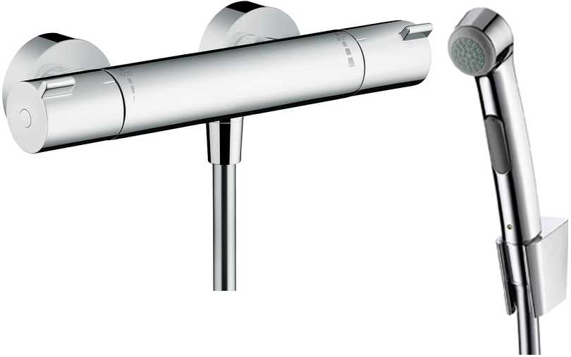 

Гигиенический душ Hansgrohe Ecostat 1001 CL 13211000