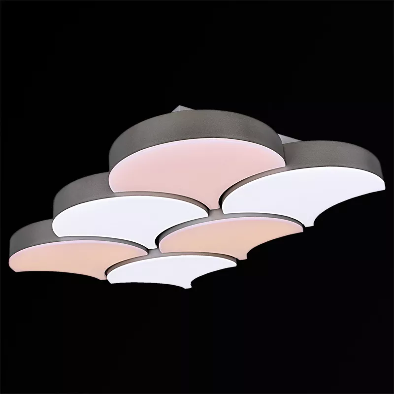 

Потолочная люстра Reluce 01218-0.3-06LED