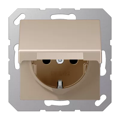 

Розетка Schuko Jung EP1420KLCH
