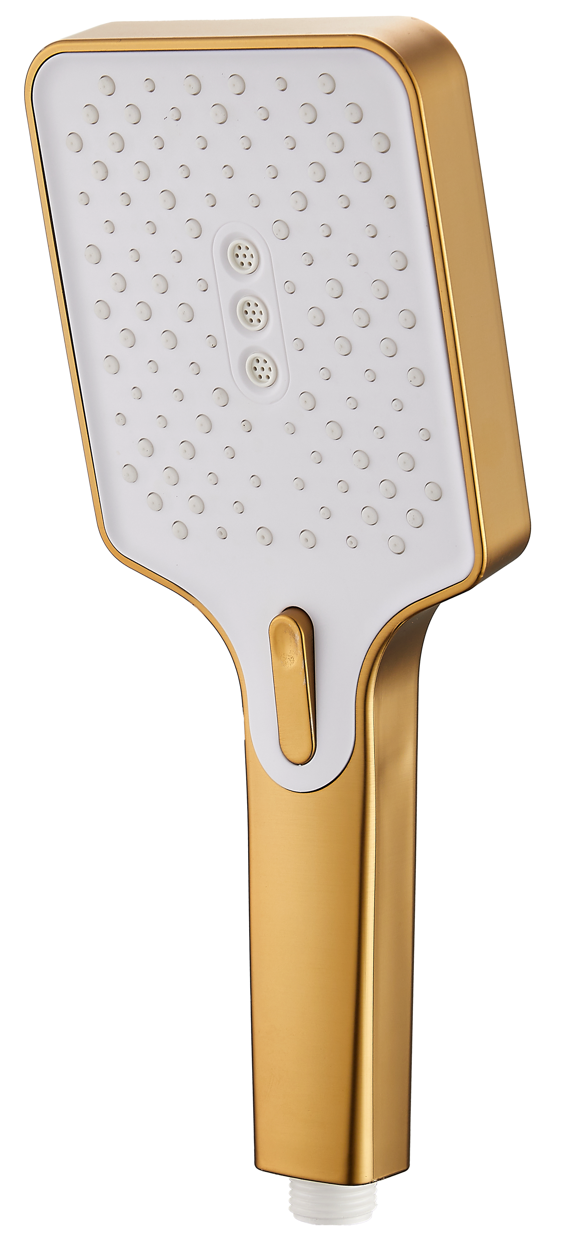 

Душевая лейка BELZ BS02-5 брашированное золото