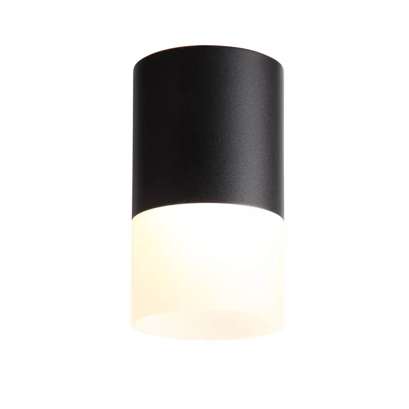 Точечные светильники  Santehnika Room Накладной светильник ST Luce ST100.402.10