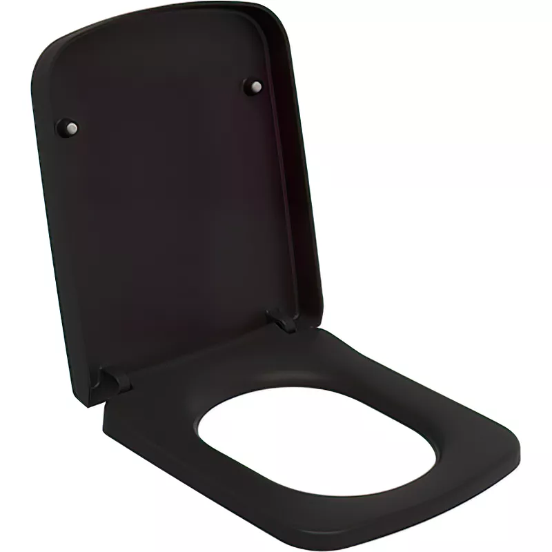 Сиденье для унитаза Ambassador Benefit черное матовое с микролифтом 202T20201 - фото 1