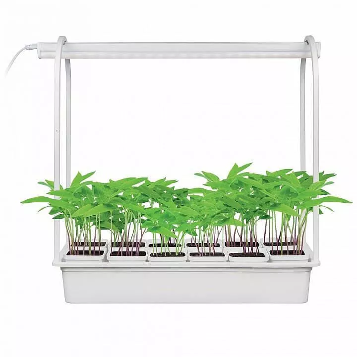 

Светодиодный светильник для растений Uniel Minigarden ULT-P34-10W/Sple IP40 White 12 UL-00004998