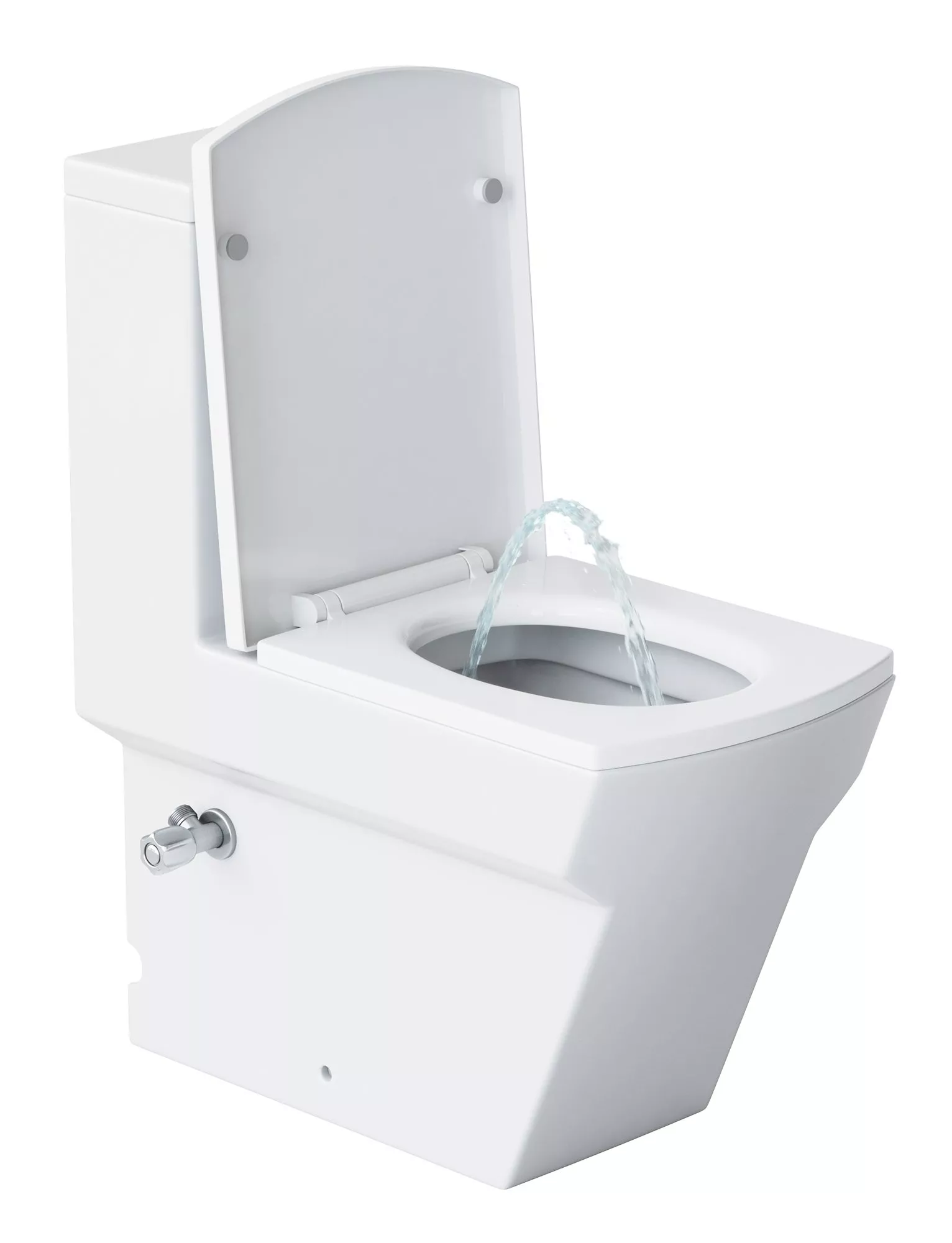 

Унитаз-моноблок Laguraty с биде 2192АC