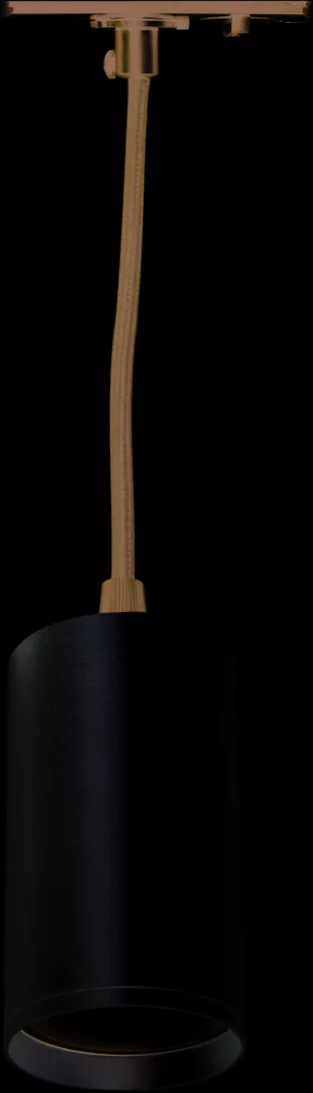 

Трековый светильник Эра TR45 - GU10 S MG Б0054184