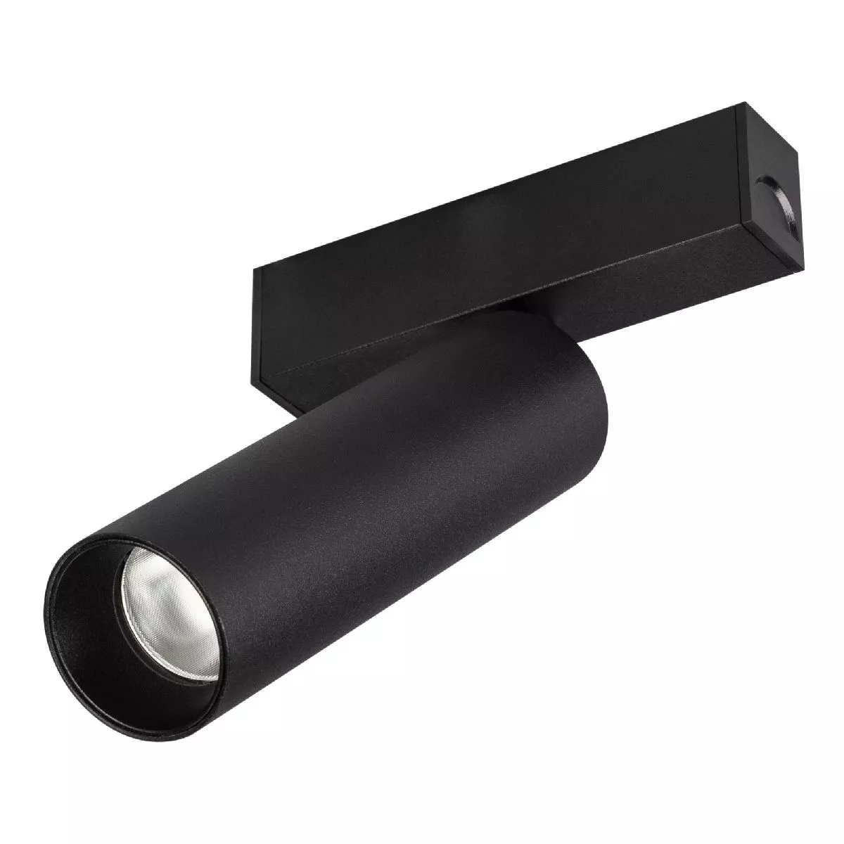 

Трековый магнитный светильник Arlight MAG-SPOT-25-R120-12W Warm3000 (BK, 30 deg, 24V, DALI) 046321