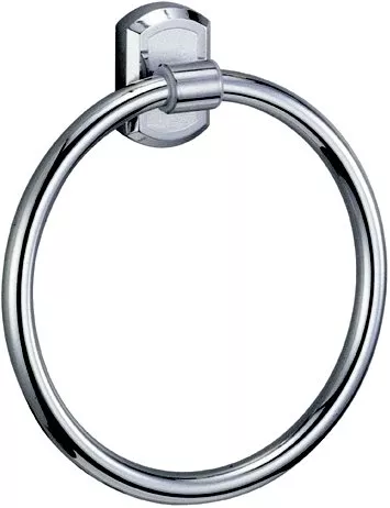 

Полотенцедержатель Wasserkraft Oder K-3060