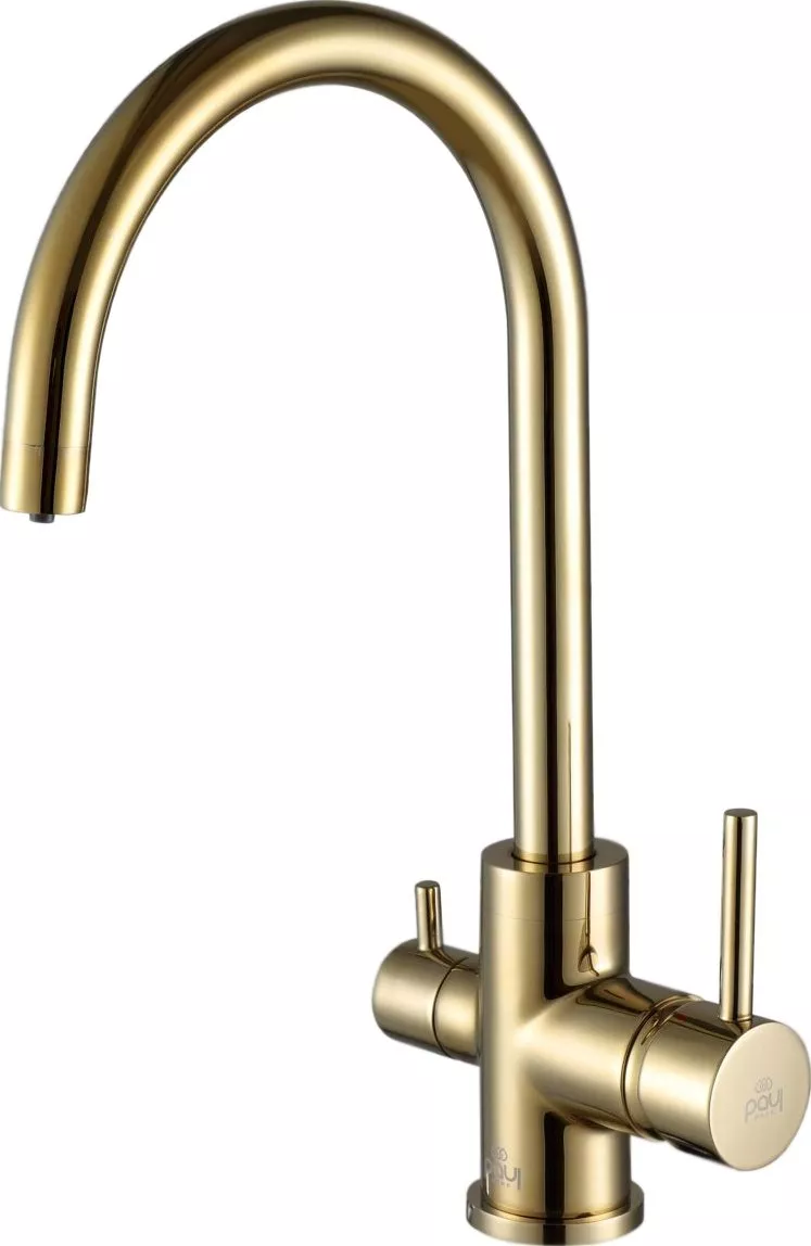 

Смеситель для кухни Paulmark Essen Es213211-G золотой