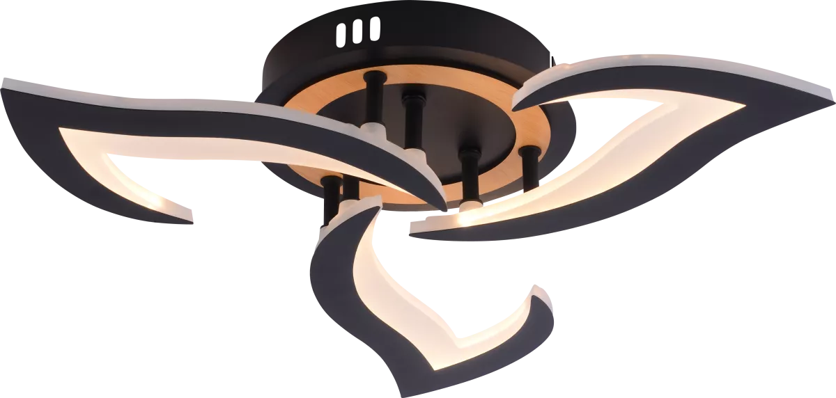 

Потолочный светильник Rivoli Cassandra 6194-703 Б0070140