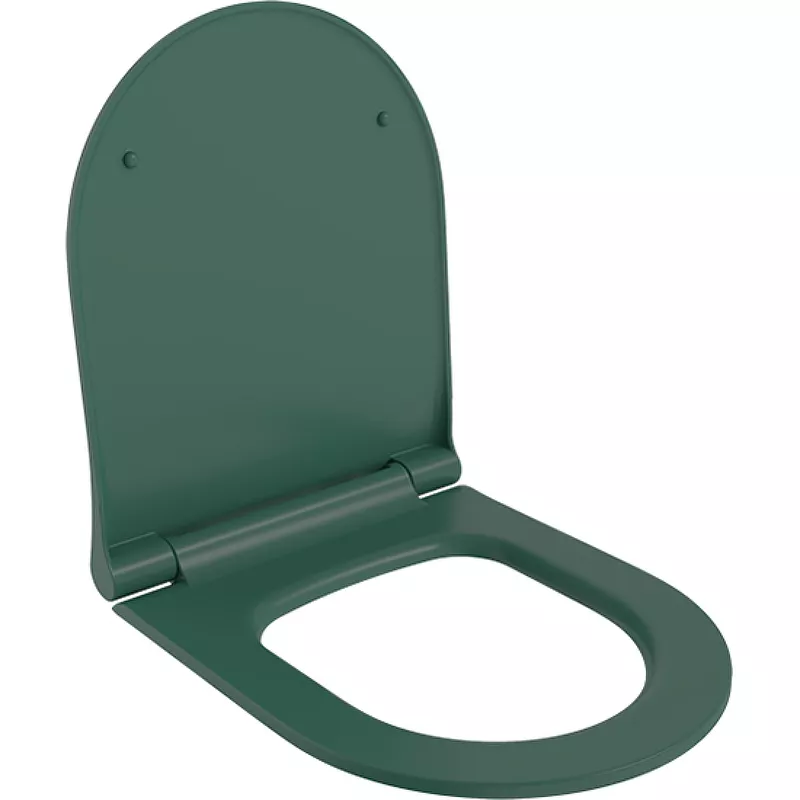 Крышка-сиденье тонкое Ambassador Abner с микролифтом зеленый матовый