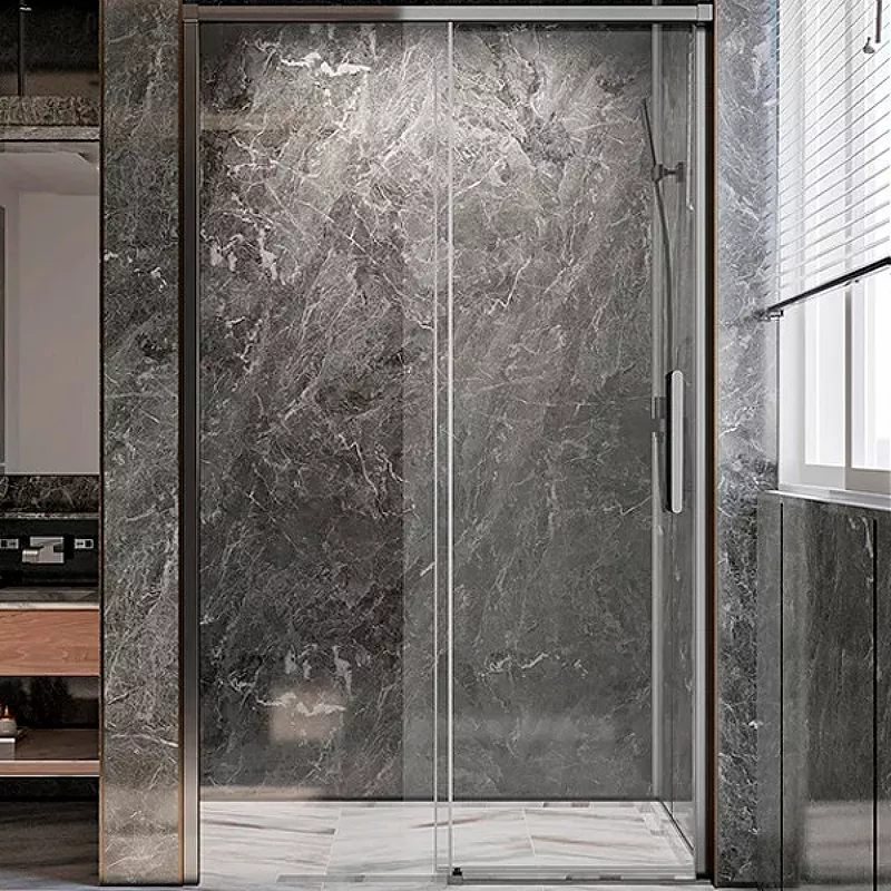 Душевая дверь в нишу Veconi Premium Trento 120х200 профиль граифт стекло прозрачное