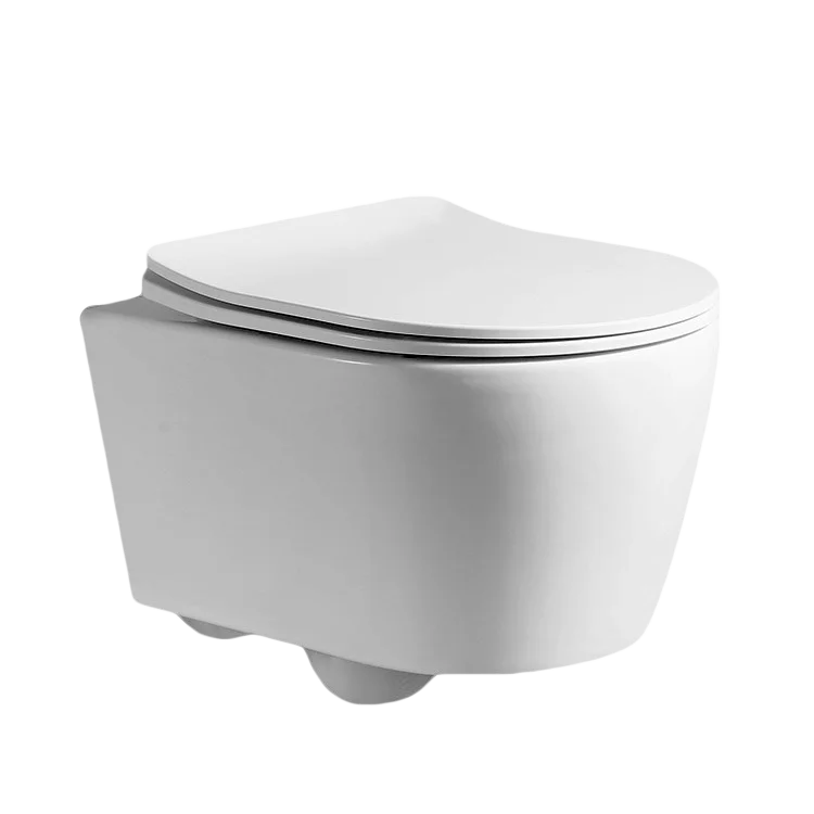 

Унитаз подвесной Cerutti SPA Sella Aria CT9738 с сиденьем микролифт, белый