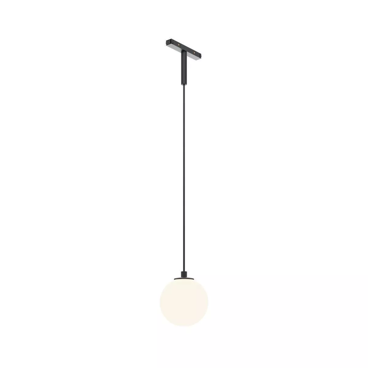 

Трековый подвесной светильник Maytoni Technical TR178-1-5WTW-B