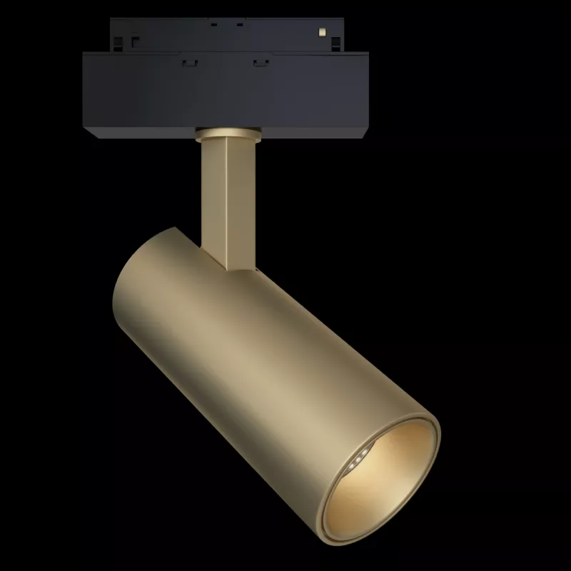

Трековый светильник Maytoni Focus LED TR019-2-15W3K-MG