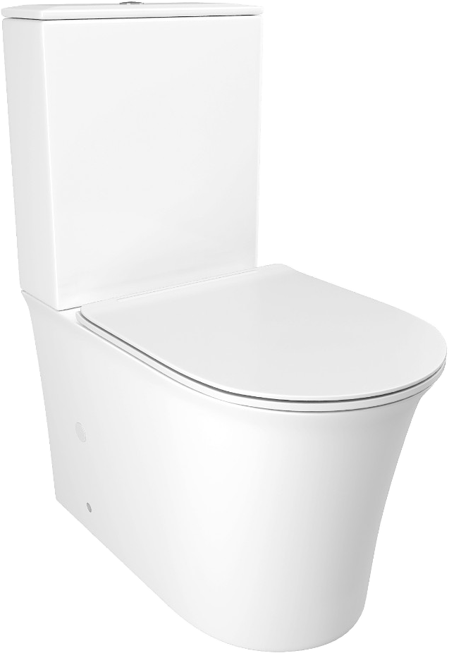 

Унитаз-компакт Cerutti Spa Avisio 8459 безободковый, с микролифтом