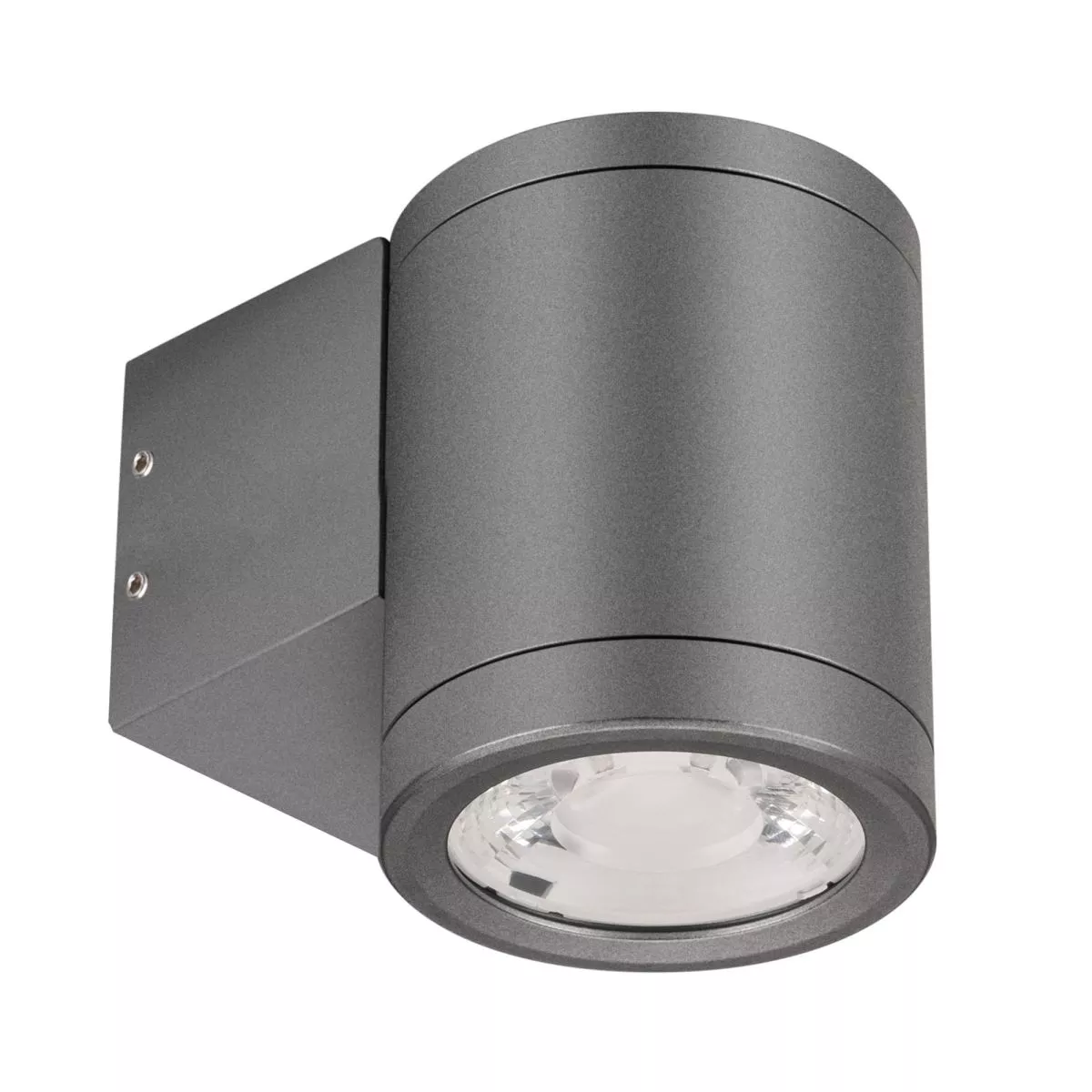 

Уличный настенный светильник Arlight LGD-RAY-WALL-R65-9W Warm3000 (GR, 23 deg, 230V) (IP65 Металл) 038153(1)