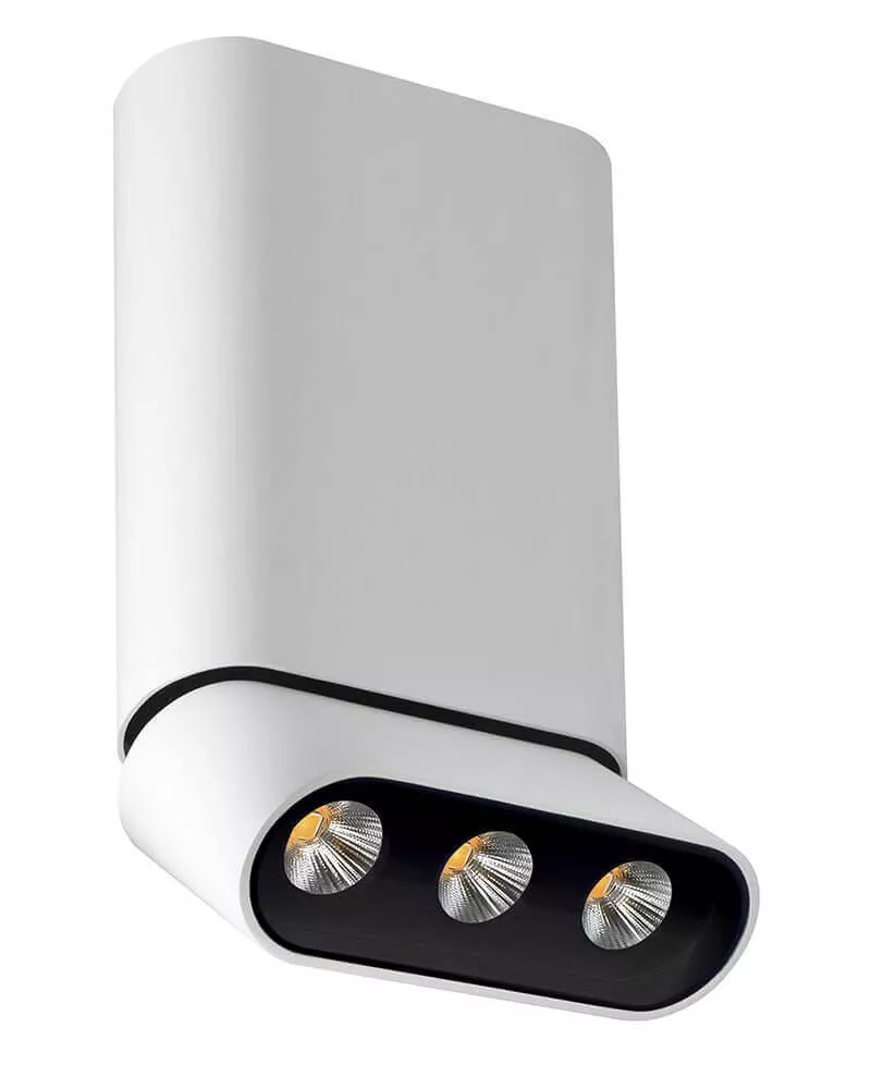 

Светодиодный спот Lumien Hall Фергус 8005/3CM-WT-BK
