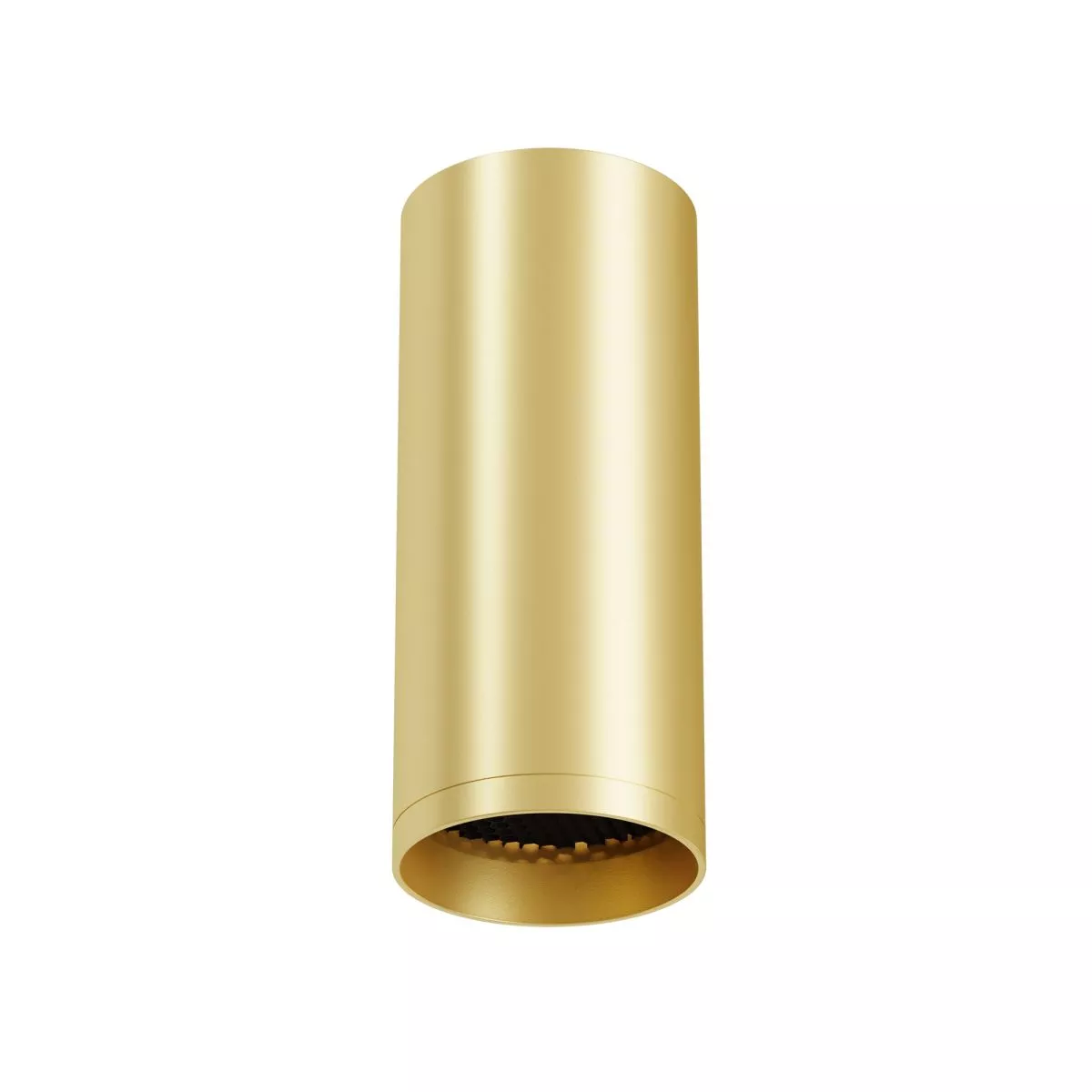 Потолочный светильник Maytoni Technical Focus C010CL-01MG-N