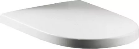 

Крышка-сиденье Roca Meridian 8012A0004 петли хром
