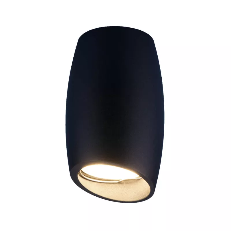 

Накладной светильник Elektrostandard DLN002 MR16 BK черный