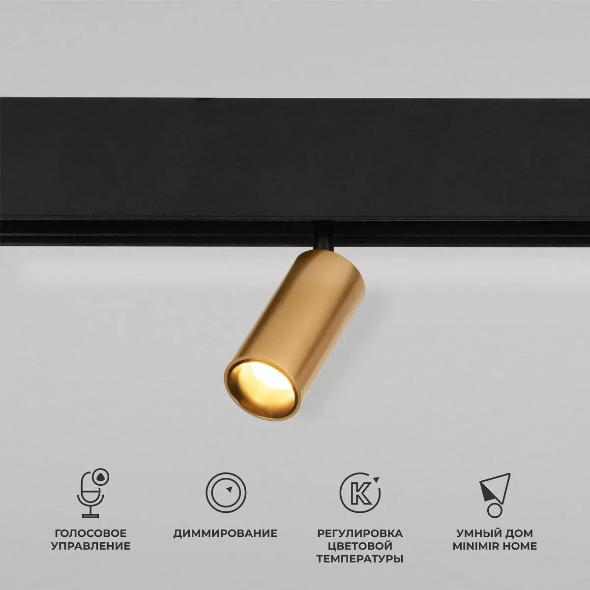 

Трековый светодиодный светильник Elektrostandard Slim Magnetic Dim Cantors 85071/01 латунь a063531