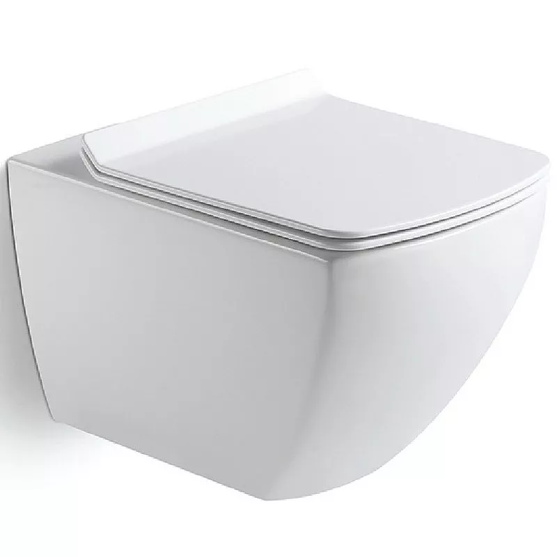 

Унитаз подвесной Black&White Universell 52 белый с сиденьем микролифт